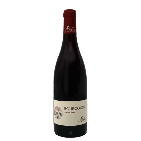 Bourgogne Rouge 2021 - Olivier Merlin