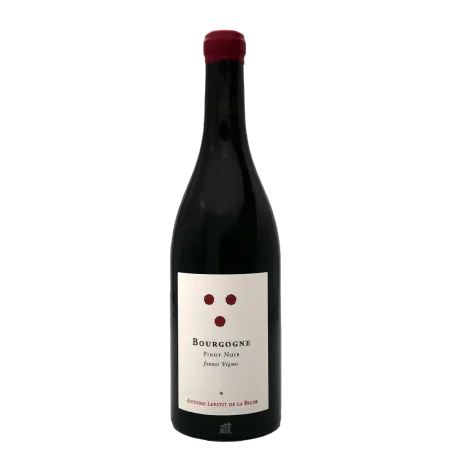 Bourgogne Pinot Noir Jeunes Vignes