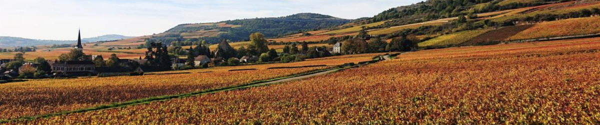 Image de marque Domaine Benoit Girardin