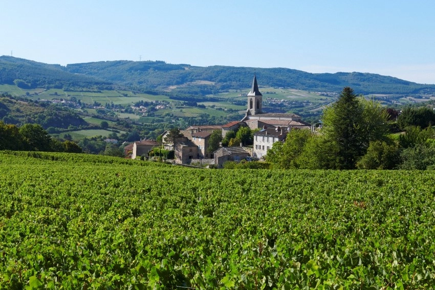 Photo d'illustration du village de la roche vineuse - Domaine Merlin