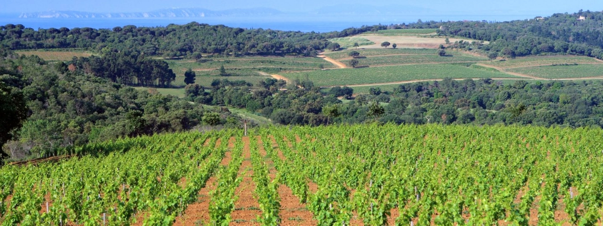 Illustration de la catégorie Provence