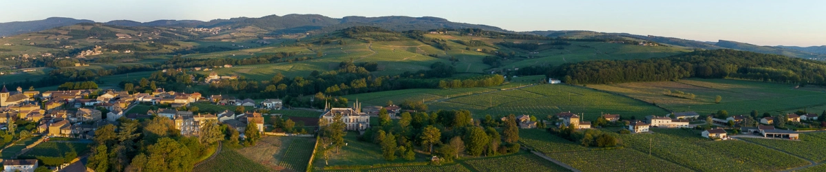 Image de marque Château Des Quarts