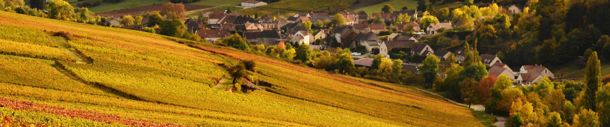 Image de marque Domaine Charles Père et Fille