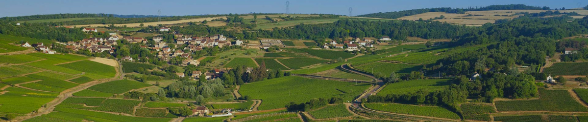 Image de marque Domaine François Berthenet