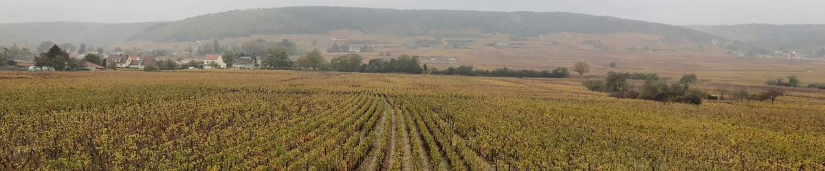 Image de marque Domaine Jean-Marie Fourrier