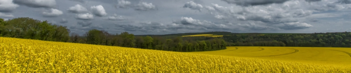 Image de marque Domaine Jeremy Trenet