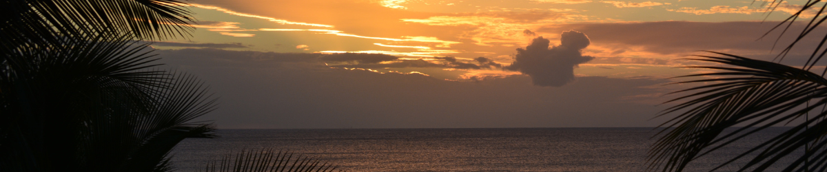 Paysage île Maurice