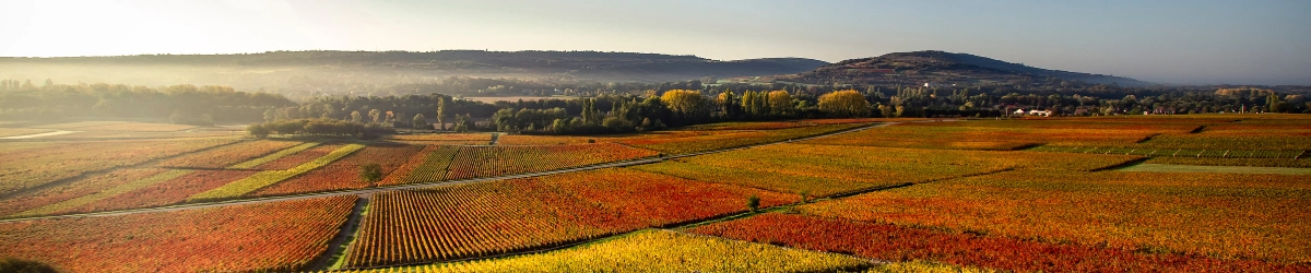 Image de marque Domaine Michel