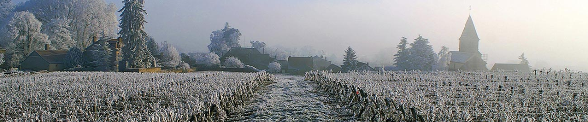 Image de marque Domaine Pierre Gelin