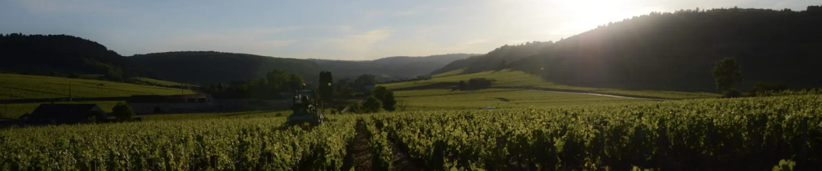 Image de marque Domaine Pierre Ronde