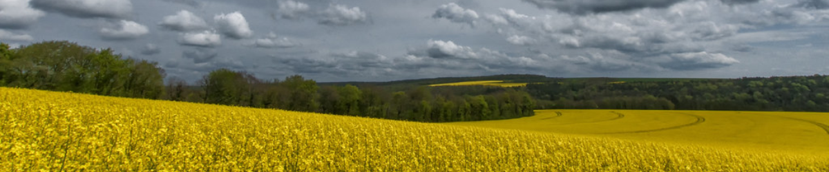 Image de marque Domaine Peirazau