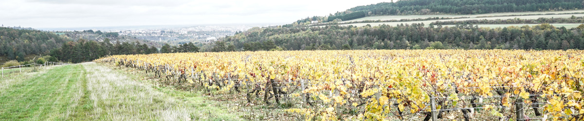 Image de marque Domaine Tercet