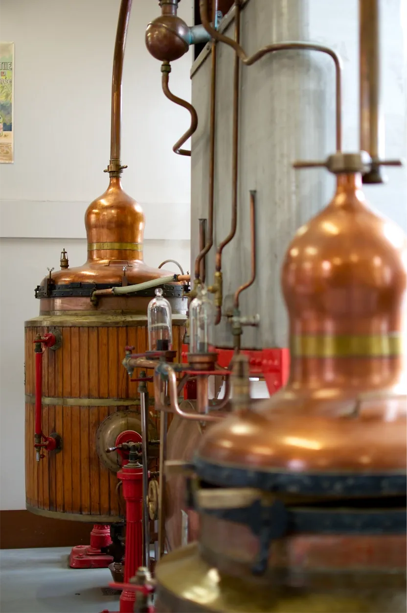 Tout savoir sur La Distillerie Les Fils d'Emile Pernot DIVA Domaines & Distilleries