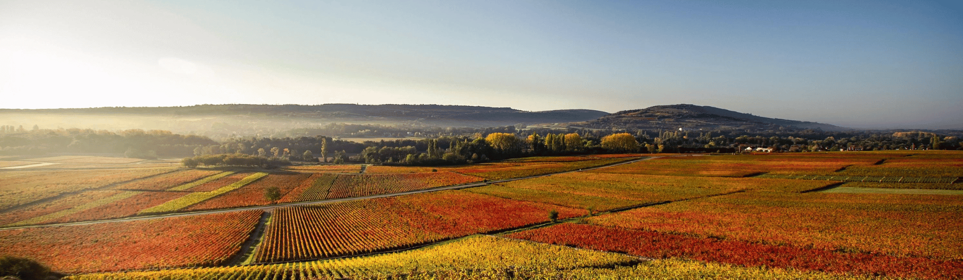 Tous nos vins de Bourgogne